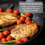 T-fal Essentials 10.5" Stainless Steel Fry Pan