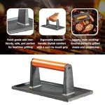 ViviCreate Cast Iron Bacon and Grill Press