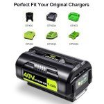 Ryobi 40V Battery Replacement (2 Pack) 6.2Ah