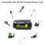 Ryobi 40V Battery Replacement (2 Pack) 6.2Ah
