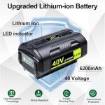 Ryobi 40V Battery Replacement (2 Pack) 6.2Ah