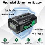 DTK 6.0Ah Lithium Battery for Ryobi 40V (2 Pk)