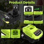 Ryobi 18V Lithium Battery Replacement 2-Pack