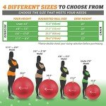 SmarterLife Yoga and Fitness Stability Ball
