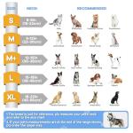 NoarWin 2-in-1 Inflatable Dog Cone Collar
