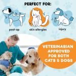 BENCMATE Inflatable Recovery Dog Cone Collar - Large