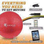 SmarterLife Yoga and Fitness Stability Ball