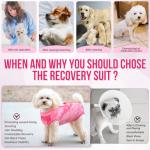 Lukovee Dog Recovery Suit - Pink, Medium