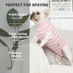 Sebdtico Soft Recovery Suit for Female Dogs
