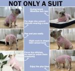 Sebdtico Soft Recovery Suit for Female Dogs