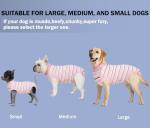 Sebdtico Soft Recovery Suit for Female Dogs
