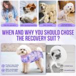 Lukovee Dog Recovery Suit, Zippered Onesie, Purple