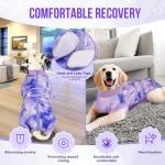 Lukovee Dog Recovery Suit, Zippered Onesie, Purple