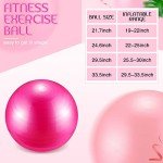 6-Pack Exercise Balls with Pump for Fitness