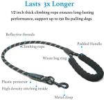 Dual Dog Leash with Bungee & 360° Swivel