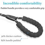 Dual Dog Leash with Bungee & 360° Swivel