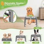 Adjustable Elevated Dog Bowl Stand with Bowls