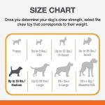 Nylabone Dental Chew Toy for Aggressive Dogs
