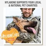 Nylabone Dental Chew Toy for Aggressive Dogs