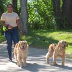 Caldwell's Pet Supply Leash Coupler for Two Dogs