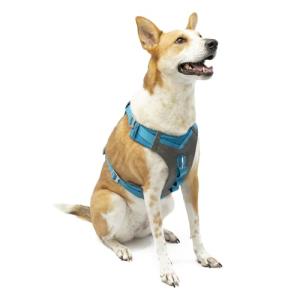 Kurgo Journey Air Dog Harness for Hiking and Running
