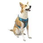 Kurgo Journey Air Dog Harness for Hiking and Running