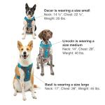 Kurgo Journey Air Dog Harness for Hiking and Running