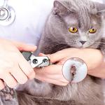 Dog Nail Clippers with Quick Sensor & Safety Guard