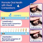 10-Piece Dog Toothbrush Set for Healthy Smiles