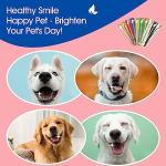10-Piece Dog Toothbrush Set for Healthy Smiles