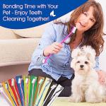 10-Piece Dog Toothbrush Set for Healthy Smiles