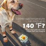 EXPAWLORER Anti-Slip Dog Socks for Paw Protection