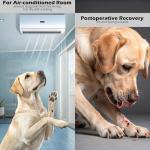 EXPAWLORER Anti-Slip Dog Socks for Paw Protection