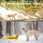 EXPAWLORER Anti-Slip Dog Socks for Paw Protection