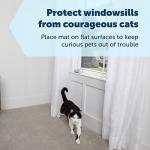 PetSafe ScatMat Indoor Training Mat for Pets