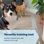 PetSafe ScatMat Indoor Training Mat for Pets