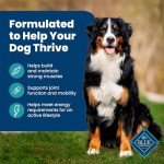 Blue Buffalo Life Protection Dry Dog Food