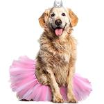 Dog Crown Headband and Tutu Dress Set