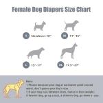 Wegreeco Female Dog Diapers - 3 Pack, Washable