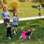 Hot Pink Tulle Dog Tutu Dress Costume