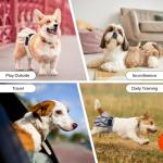 Medium Reusable Washable Dog Diapers for Females - 3 Pack