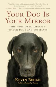 Your Dog Reflects Your Emotions: Discover the Connection