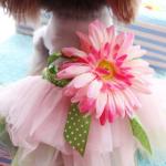 PanDaDa Dog Daisy Tutu Dress with Bow