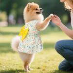 4-Pack Cute Dog Dresses for Summer Fun