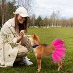 Hot Pink Tulle Dog Tutu Dress Costume