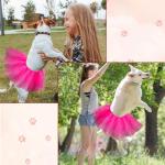 Hot Pink Tulle Dog Tutu Dress Costume