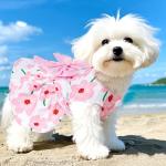 4-Pack Cute Dog Dresses for Summer Fun