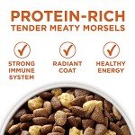 Purina ONE SmartBlend Natural Weight Control Dog Food
