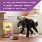 Nature’s Recipe Lamb and Rice Dog Food, 24 lb