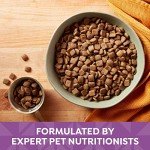 Nature’s Recipe Lamb and Rice Dog Food, 24 lb